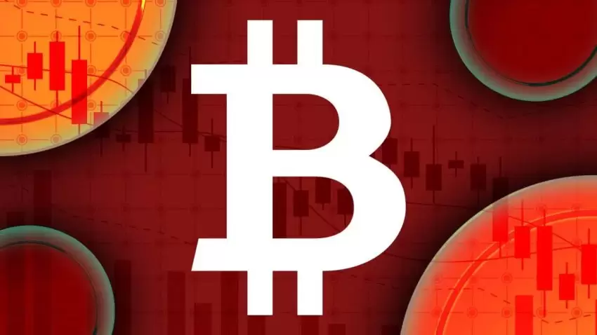 加密货币投资风险与收益:新手需了解的要点
